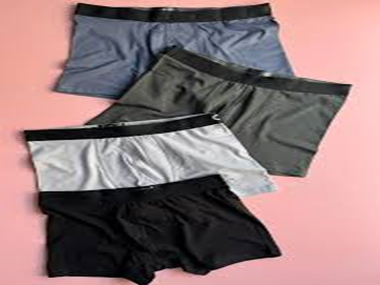 Toptan Ereek Boxer Fiyatları